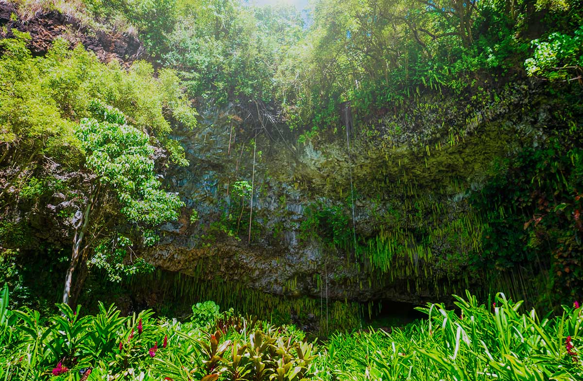 fern grotto kauai hero
